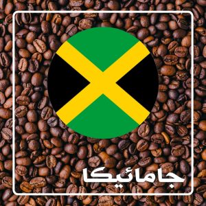 جامائیکا - مای کافی